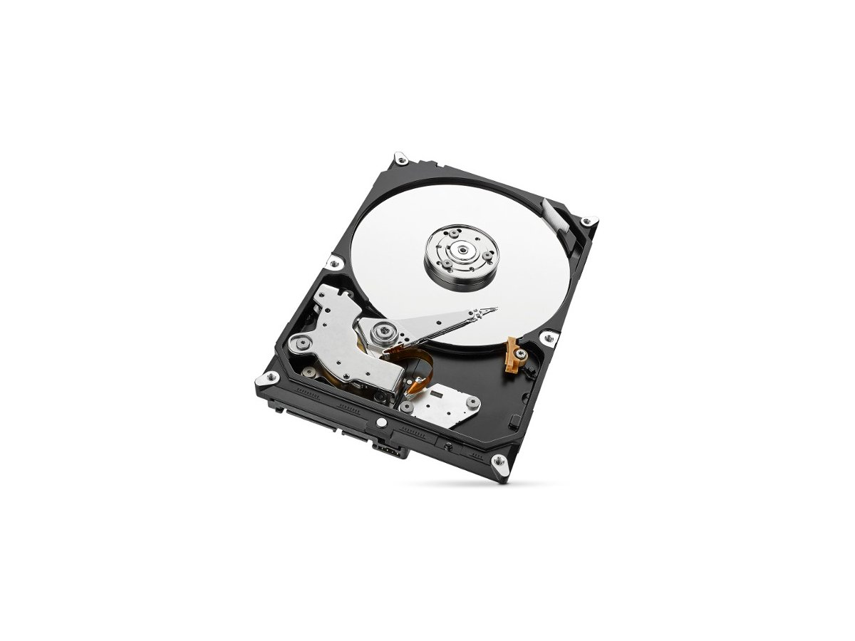 Dysk HDD Seagate SkyHawk ST1000VX013 1TB