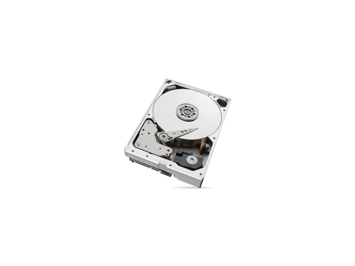 Dysk HDD Seagate SkyHawk ST6000VX009 6TB